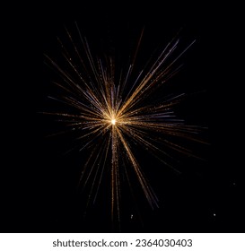 golden firework burst in the night sky - Powered by Shutterstock