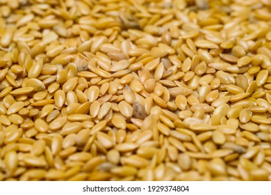 Golden Flaxseed Or Linseed, Close Up 