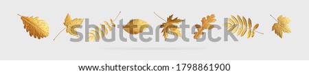 Golden flying autumn leaves of different shapes on light gray background. Autumn concept, fall background. Minimal floral design, autumn leaf frame. Golden twig. Autumn creative composition. Banner