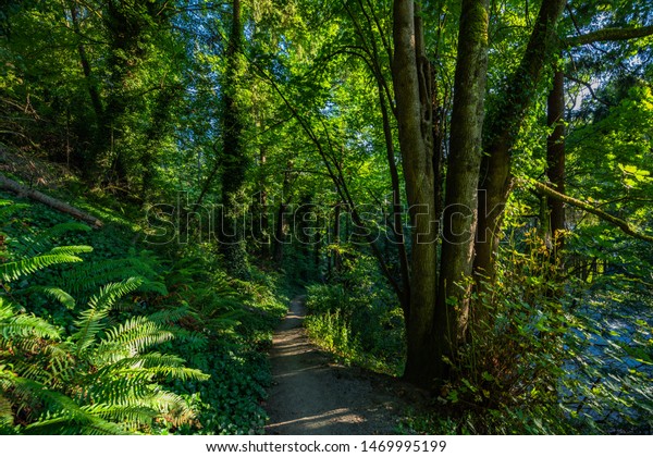 Golden Garden Park Seattle Wa Famous Stock Photo Edit Now 1469995199