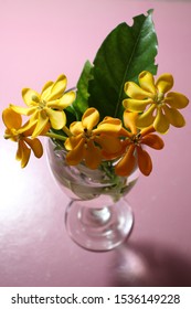 Golden Gardenia Flower Of Thailand