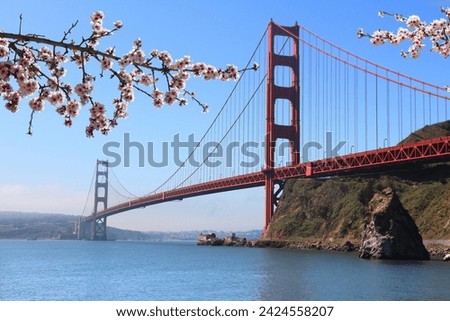 Golden Gate Bridge in San Francisco, California, USA. Sunny day. Spring time cherry blossoms.