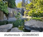 golden gate park in San francisco california July 2023