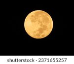 Golden Giant Harvest Moon By HHAMIN Nikon P1000 30.09.2023