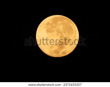 Golden Giant Harvest Moon By HHAMIN Nikon P1000 30.09.2023