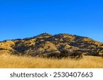 Golden grass covers the rolling hills of Joseph D. Grant County Park, with the Lick Observatory visible on Mount Hamilton against the backdrop of a blue sky