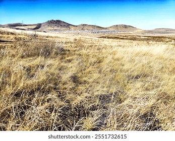 Golden grass sways gently in the breeze as rolling hills rise under a brilliant blue sky, showcasing nature untouched beauty. - Powered by Shutterstock