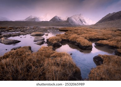 Golden grasses surround a reflective pond under misty mountains, with a tranquil sky casting a serene glow on the landscape. - Powered by Shutterstock