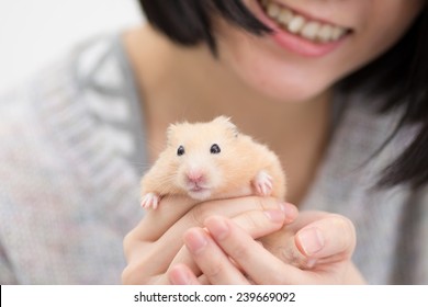 Golden Hamster in woman's hand.