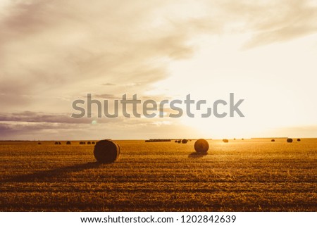 Similar – Foto Bild Wolkenformation die wie ein Vogel aussieht über einem abgeernteten Feld mit Strohballen.