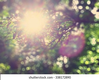 Golden Heaven Light Hope Concept Abstract Blurred Background From Nature