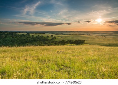 The Golden Hills Of El Dorado Hills, California.