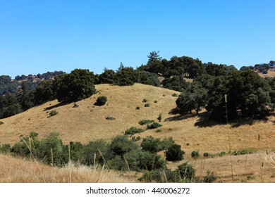 Golden Hills Of Sonoma County Against A Blue Sky In Windsor, California.