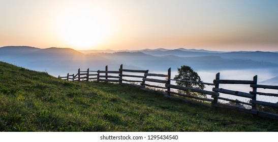 Golden Hour In Bucovina