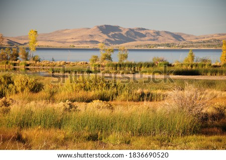 The golden hour decends on a fall afternoon in Washoe Valley, Northern Nevada between Reno and Carson City. A view of Washoe Lake, a distant mountain range, wetlands and desert sage brush.