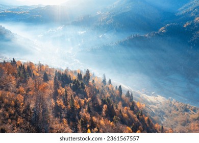 Golden Hour Glory: Autumn Sunrise in the Mountain Forest