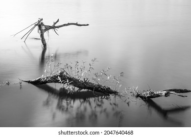 Golden Hour Landscape By The Narew River