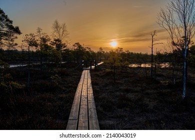Golden hour landscape of a wooden hiking path n the wetlands of the Cosumnes River Preserve in Galt California with the sun setting on the horizon. - Shutterstock ID 2140043019