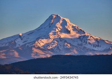 Golden Hour Mount Hood Snow-Capped Peak with Evergreen Forest Panorama - Powered by Shutterstock