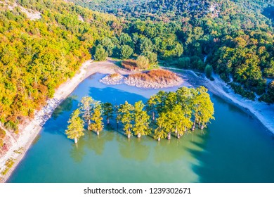 The golden hour on a cypress lake. Swamp cypress trees growing in the center of a mountain lake. - Powered by Shutterstock