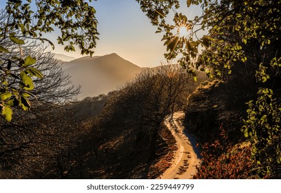 Golden Hour on the Mountain Path - Shutterstock ID 2259449799