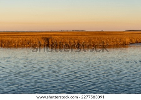 Golden hour on St Marys River, Georgia. Sea grass on salt marsh (saltmarsh, salting, coastal salt marsh, tidal marsh) is a coastal ecosystem in the upper coastal intertidal zone between land and sea. 