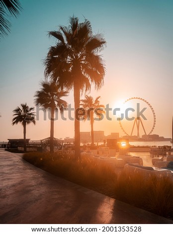 Golden hour picture of the Dubai beach with large ferris wheel and palm tree silhouettes at sunset, teal and orange tones creating tropical mood