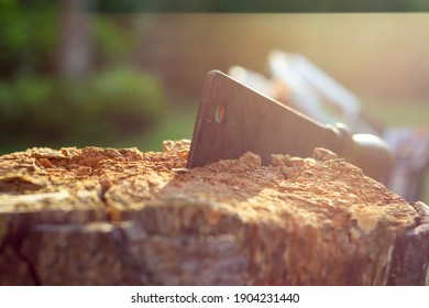 A Golden Hour Portrait Of A Wood Cleaver Blade Stuck In A Piece Of Wood. The Rusty Chopper Has A Wooden Handle And Is Put Deep In The Tree Stump.