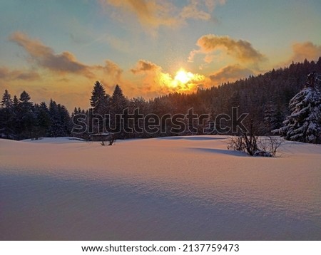 Golden hour in snow covered landscape during snowfall