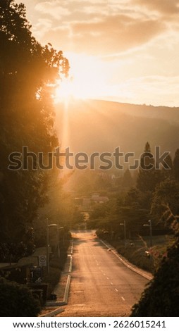 Golden hour sunbeams pierce through a peaceful forested valley. A serene sunset landscape perfect for reels, story, or Pinterest use—delivering deep sunset ambience and serenity.