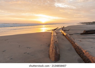 Golden hour sunrise over Waihi Beach, driftwood logs leading towards sun glow.