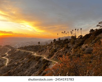 Golden hues embrace Griffith Park at sunset, casting a warm glow over rolling hills and silhouetted palm trees—a tranquil scene of urban oasis serenity. - Powered by Shutterstock