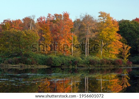 Golden Island in an Autumn Lake.  Destination Promised Land State Park in Pennsylvania