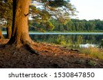 A Golden Lakeshore Summer Hike.  Destination Promised Land State Park in Northeastern Pennsylvania