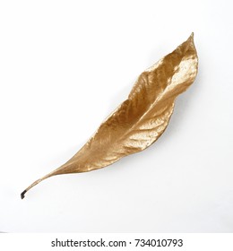 golden leaf design elements. Decoration elements for invitation, wedding cards, valentines day, greeting cards. Isolated.