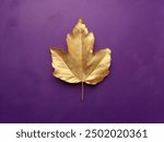 Golden leaf with purple painted wall