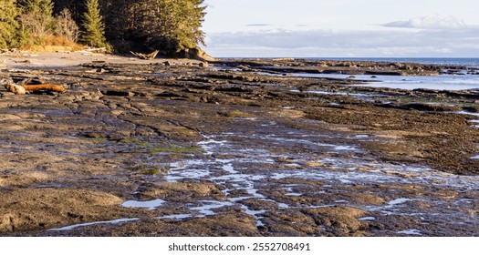 Golden light bathes the rocky shoreline of Port Renfrew on Vancouver Island. Surrounded by lush forest, the tranquil scene captures the essence of a serene west coast sunset. - Powered by Shutterstock