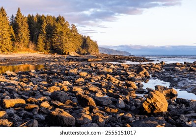 Golden light bathes the rocky shoreline of Port Renfrew on Vancouver Island, BC, creating an enchanting and serene coastal scene. Towering evergreen trees frame the tranquil ocean view. - Powered by Shutterstock