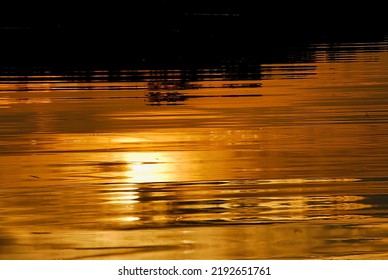 Golden Light Reflecting Off Water