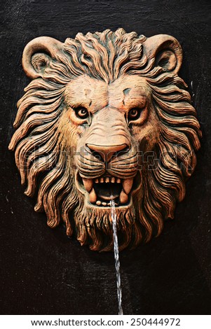 Golden lion head statue on stone black wall spouting water