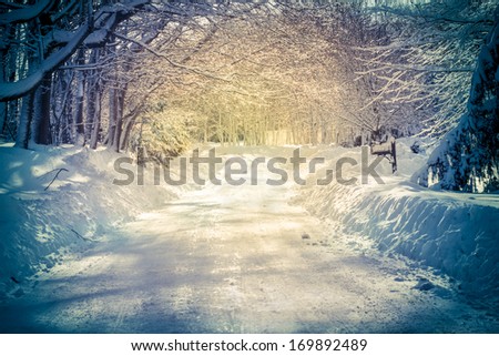 Similar – Image, Stock Photo Winter path…