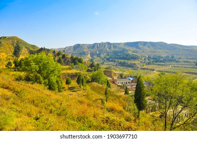 A Golden Loess Plateau In Late Autumn