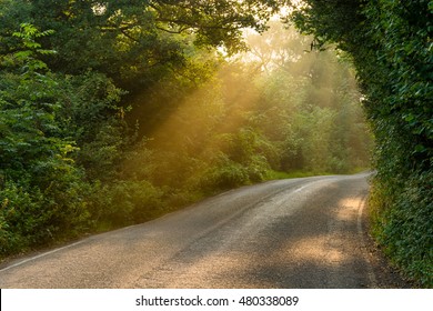 Golden Majestic Light Beams Shining Through Tree Canopies Onto A Country Road In The English Peak District On A Beautiful Autumn Morning. 