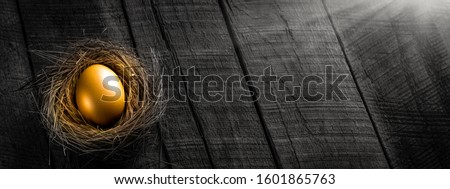 Golden Nest Egg On Wooden Table Background With Sunlight - Investment Concept