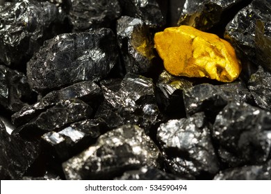 Golden Nugget On Raw Coal Nuggets, Black Gold, Natural Gold