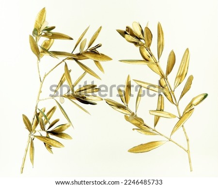 Golden olive branch isolated on white background macro close up. Gold olive leaves. Symbol of peace and victory