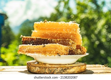 Golden organic pieces honeycombs in plate on apiary and garden background.Rural scene with honeycombs honey, bee in green meadow. Harvest honey. Concept Healthy eco natural food, diet, dieting