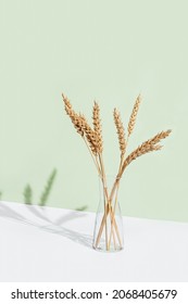 Golden painted ears of wheat close up on pastel green and white background. Elements of nature in transparent glass vase. Isometry with natural light