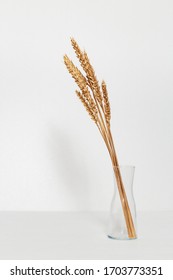 Golden painted ears of wheat in glass transparent vase and on white table. Creative image with autumnal bouquet with copy space.