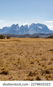 Golden Pampas and snowy mountains of Torres del Paine National Park in Chile, Patagonia, South America - Shutterstock ID 2278833323